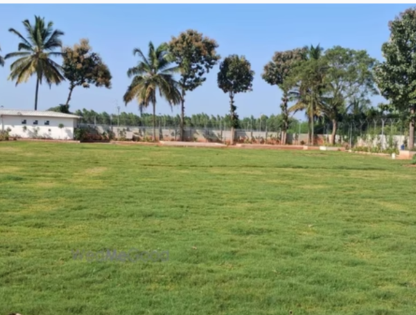 Aayana greens